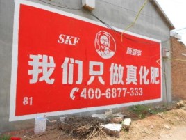 确山刷墙广告”蕴含了时代命题