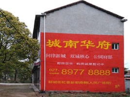 确山百分之90的人都不了解的农村墙体广告