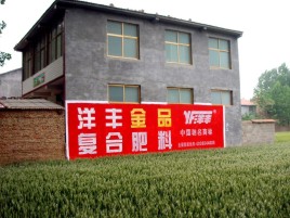 确山如何让墙体广告展现最大化效果