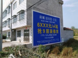 确山墙体广告质量分析