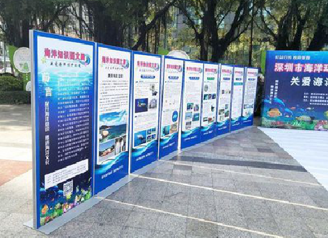 确山KT板的种类和知识。